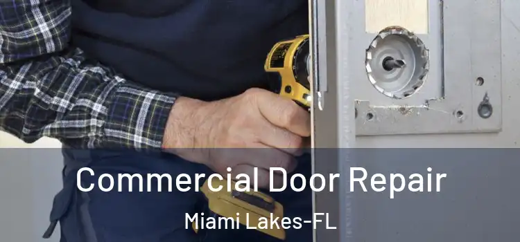  Commercial Door Repair Miami Lakes-FL