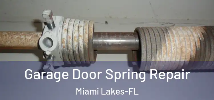 Garage Door Spring Repair Miami Lakes-FL