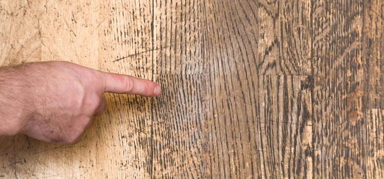 Wood Door Scratch Repair in Miami Lakes