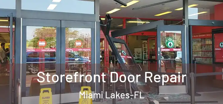  Storefront Door Repair Miami Lakes-FL
